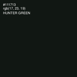 #111713 - Hunter Green Color Image